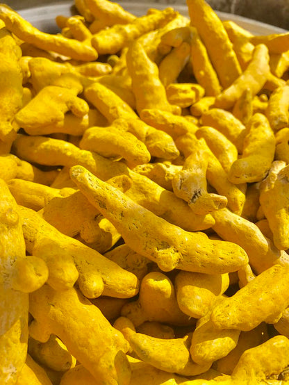Wild Gold Premium Turmeric Fingers – 100% Pure & Natural