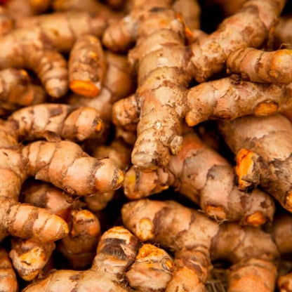 Wild Gold Premium Turmeric Fingers – 100% Pure & Natural